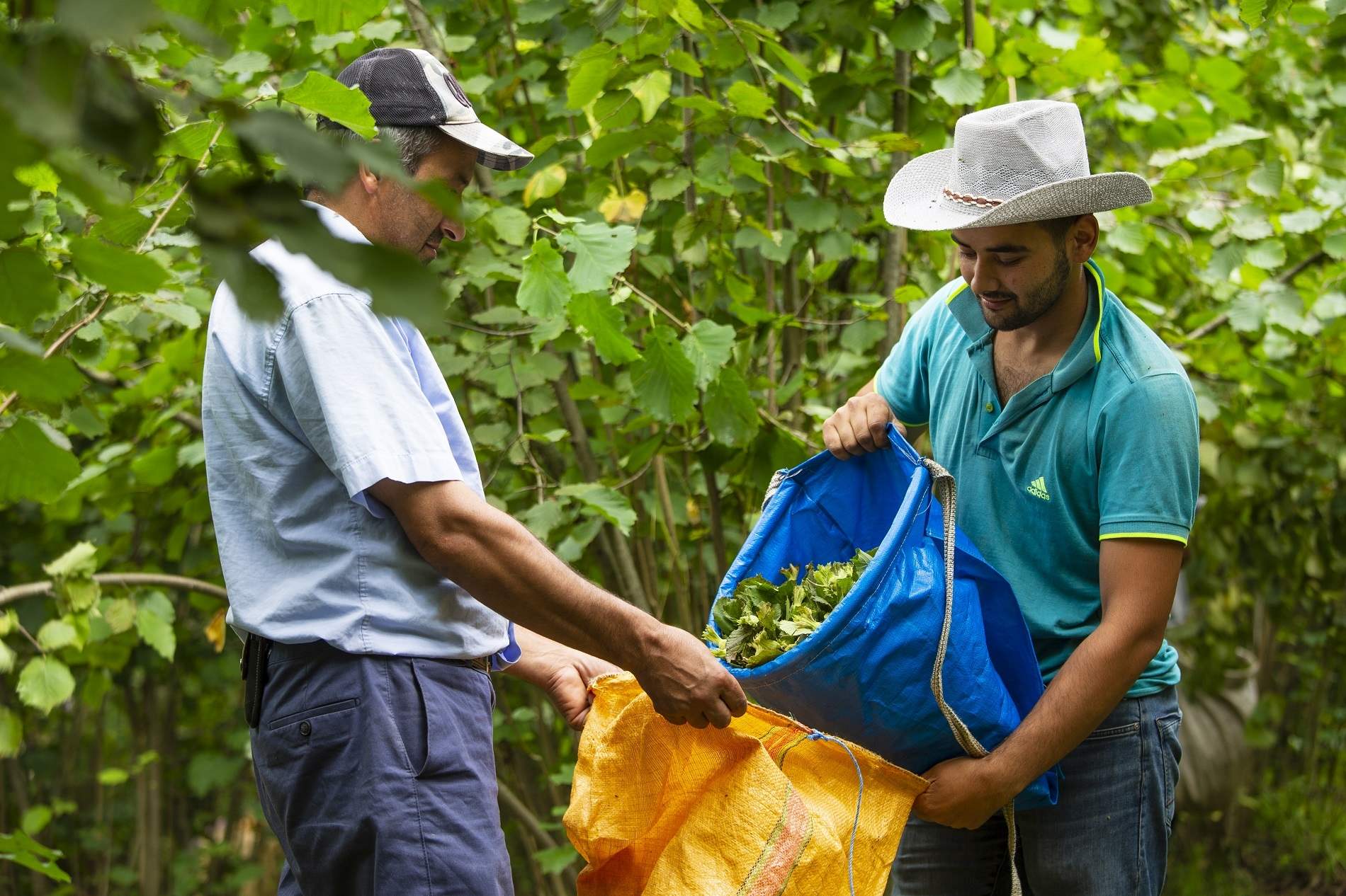 O PROJEYE REKOR BAŞVURU